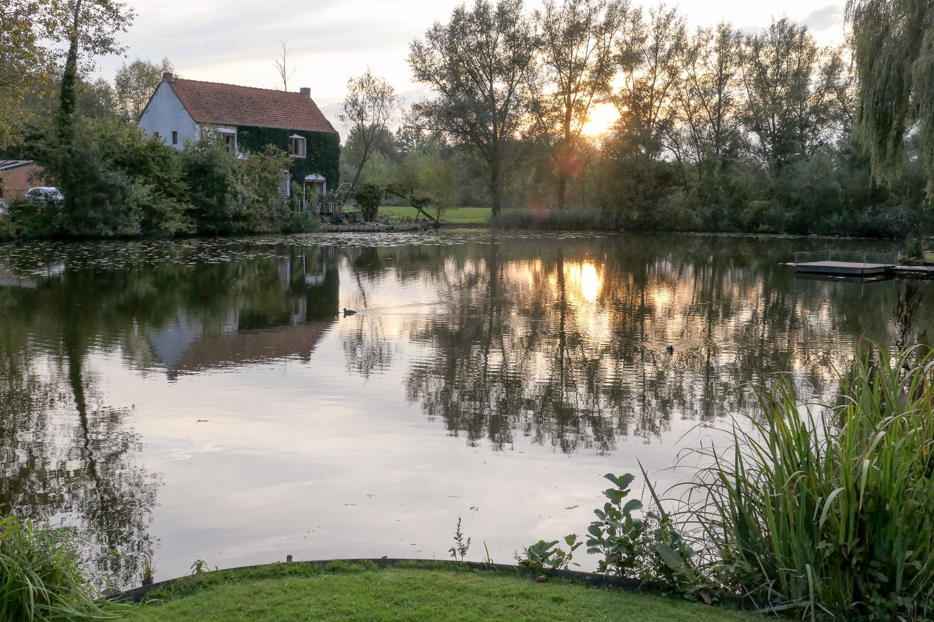 Foto van Ferdi Mattys