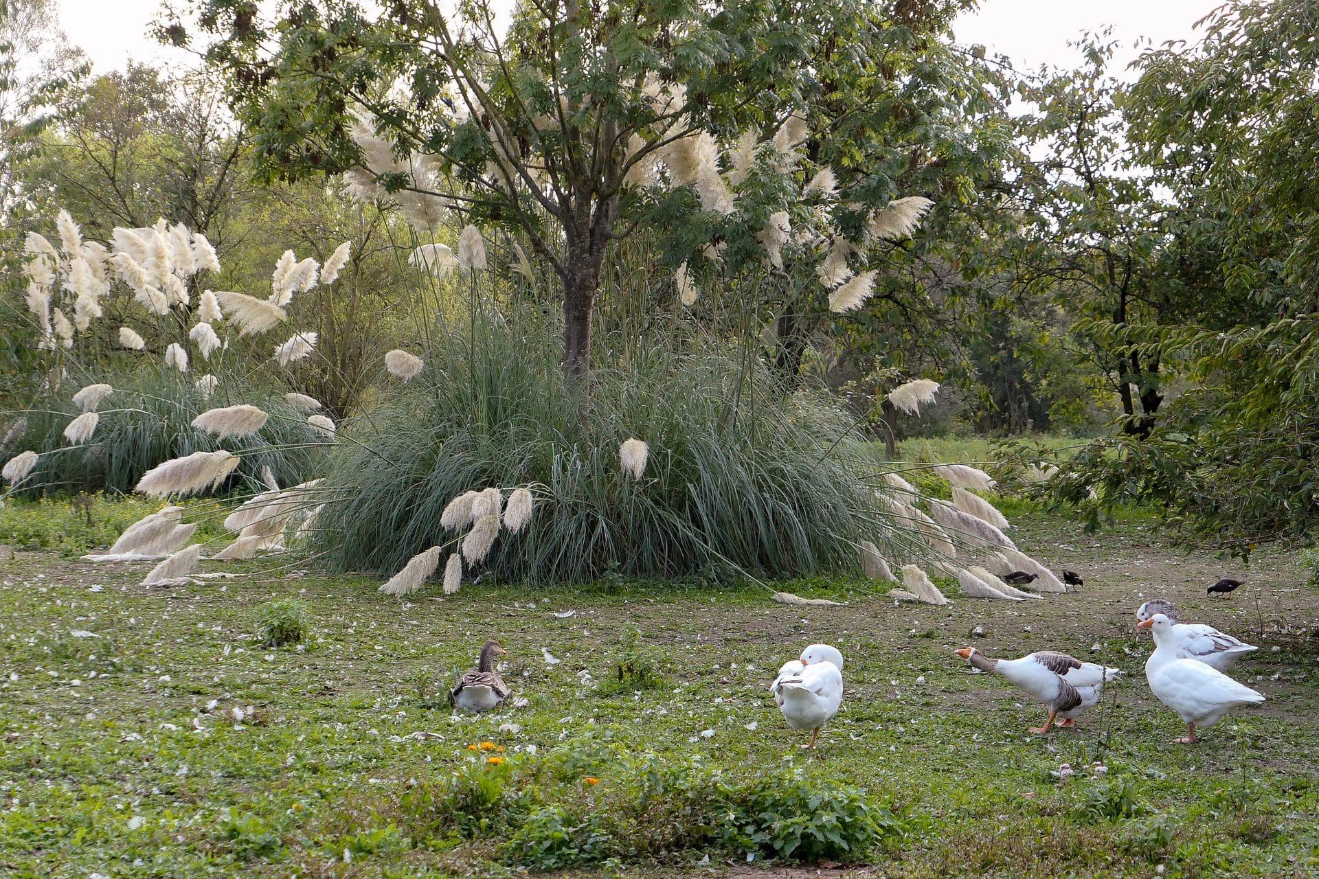 Foto van Ferdi Mattys