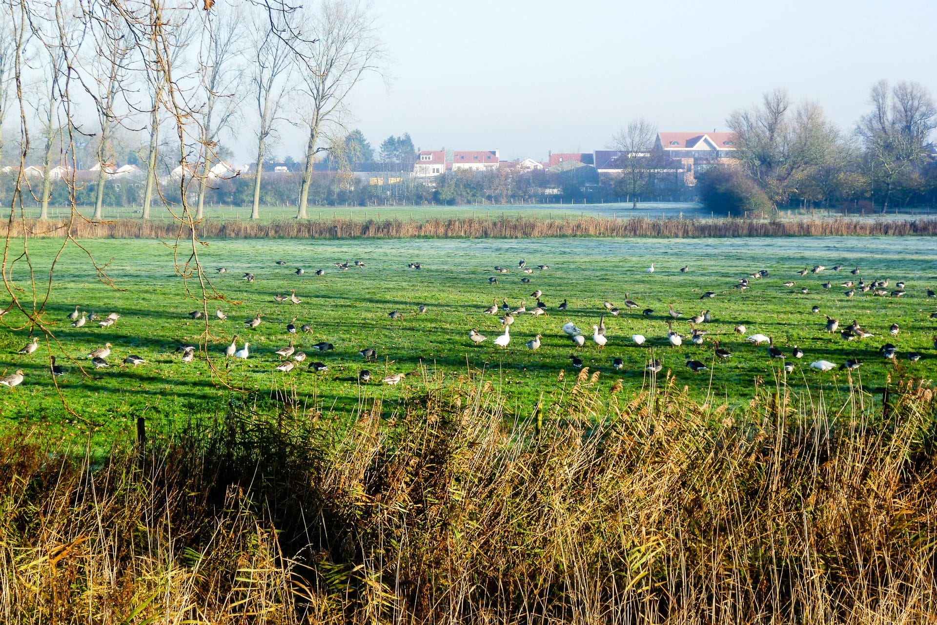 Zicht op de polders