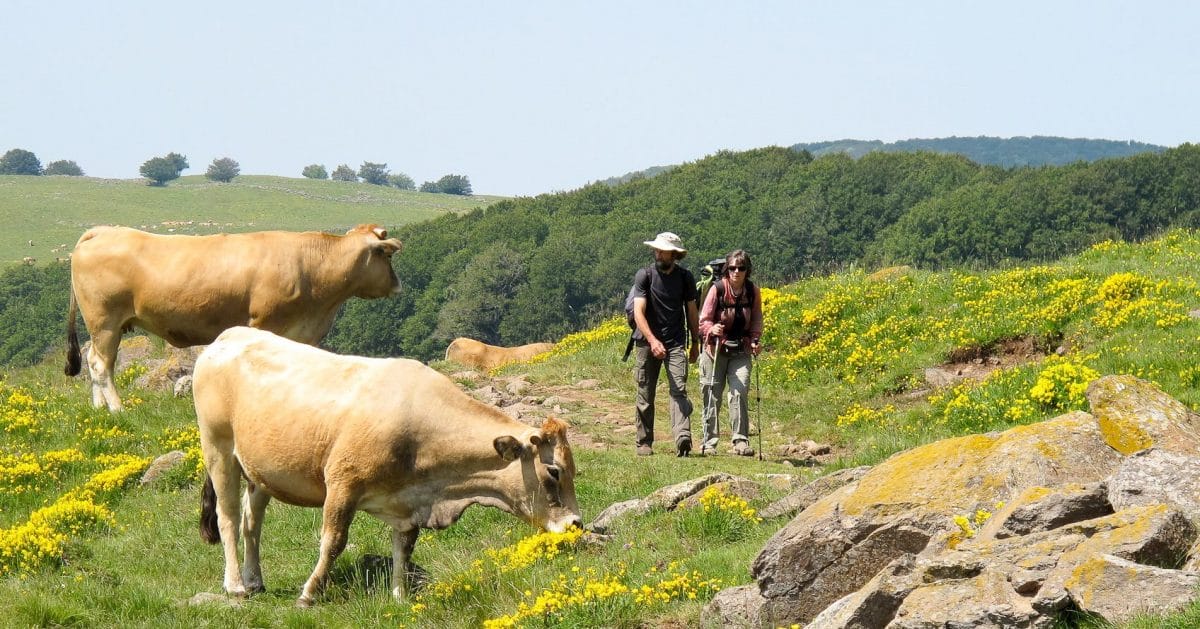 Infodag voor kandidaat-pelgrims in Genk