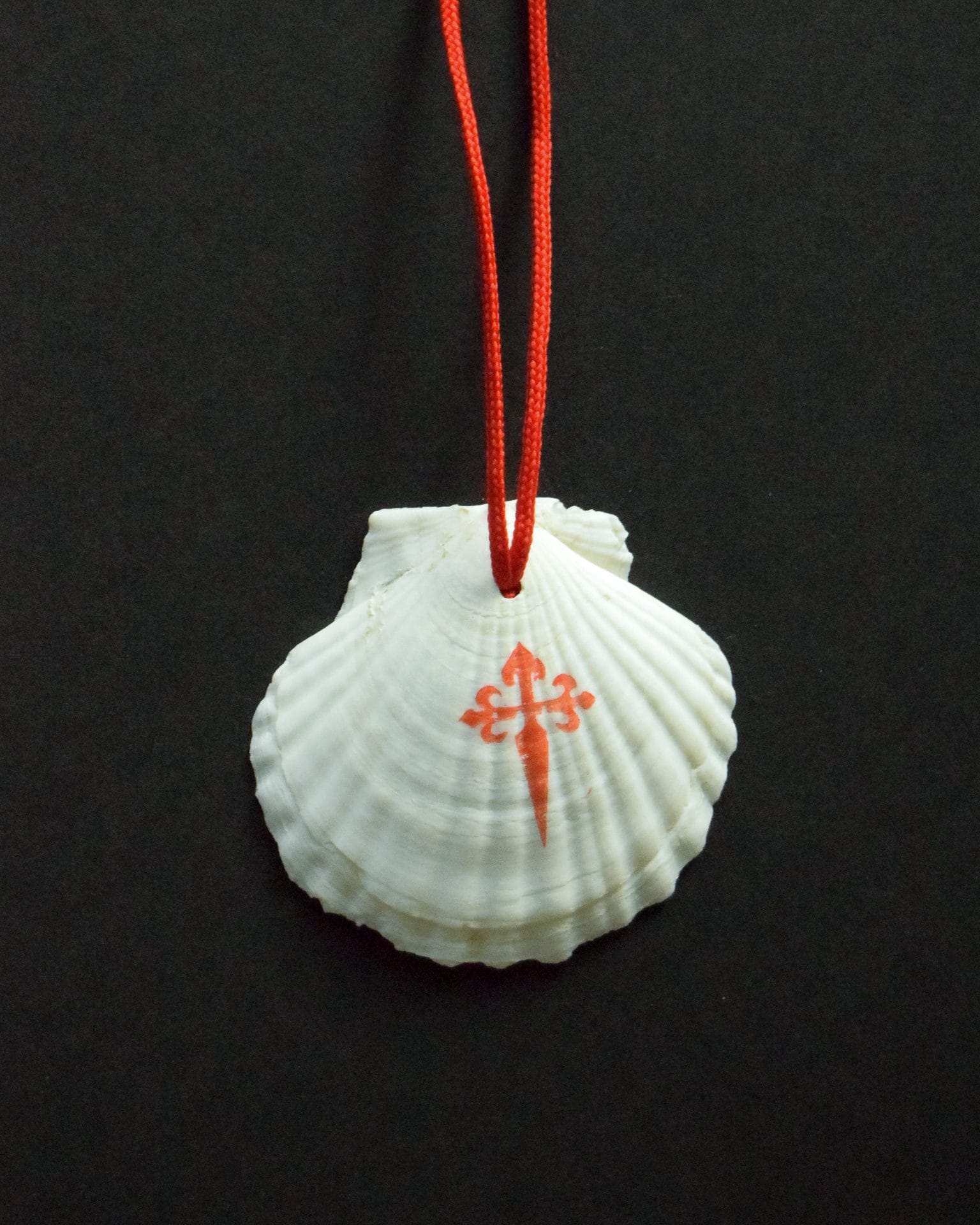 Natuurlijke Sint-Jakobsschelp met opdruk