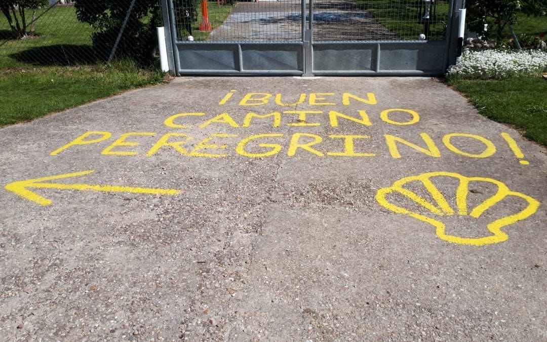 Buen camino peregrino