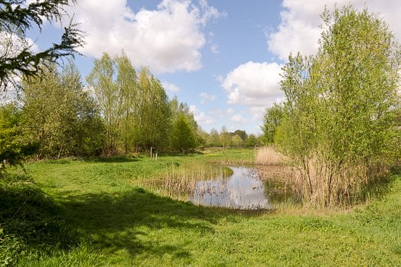 Natuurgebied 't Spei