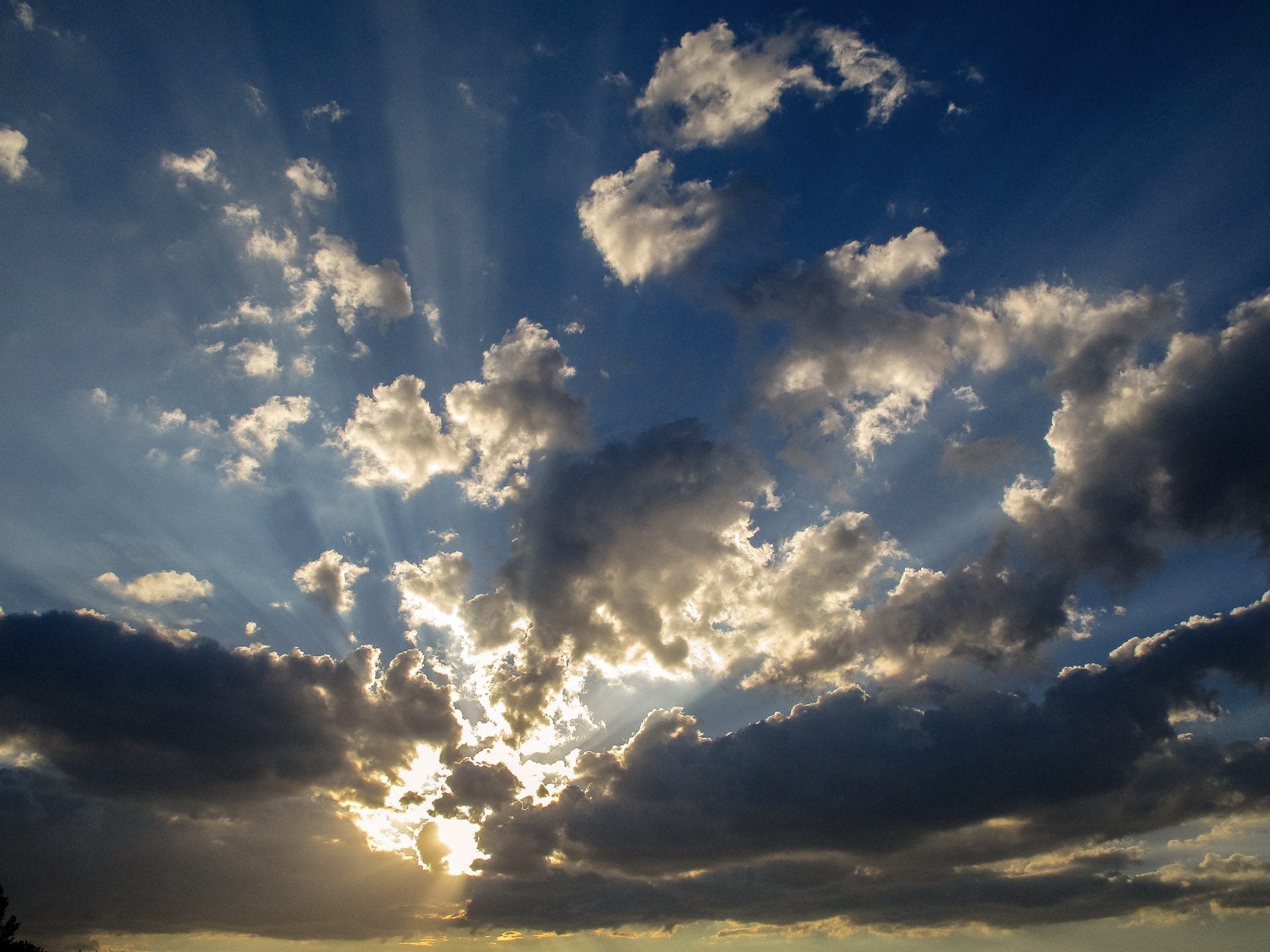 Foto van Paul Linders