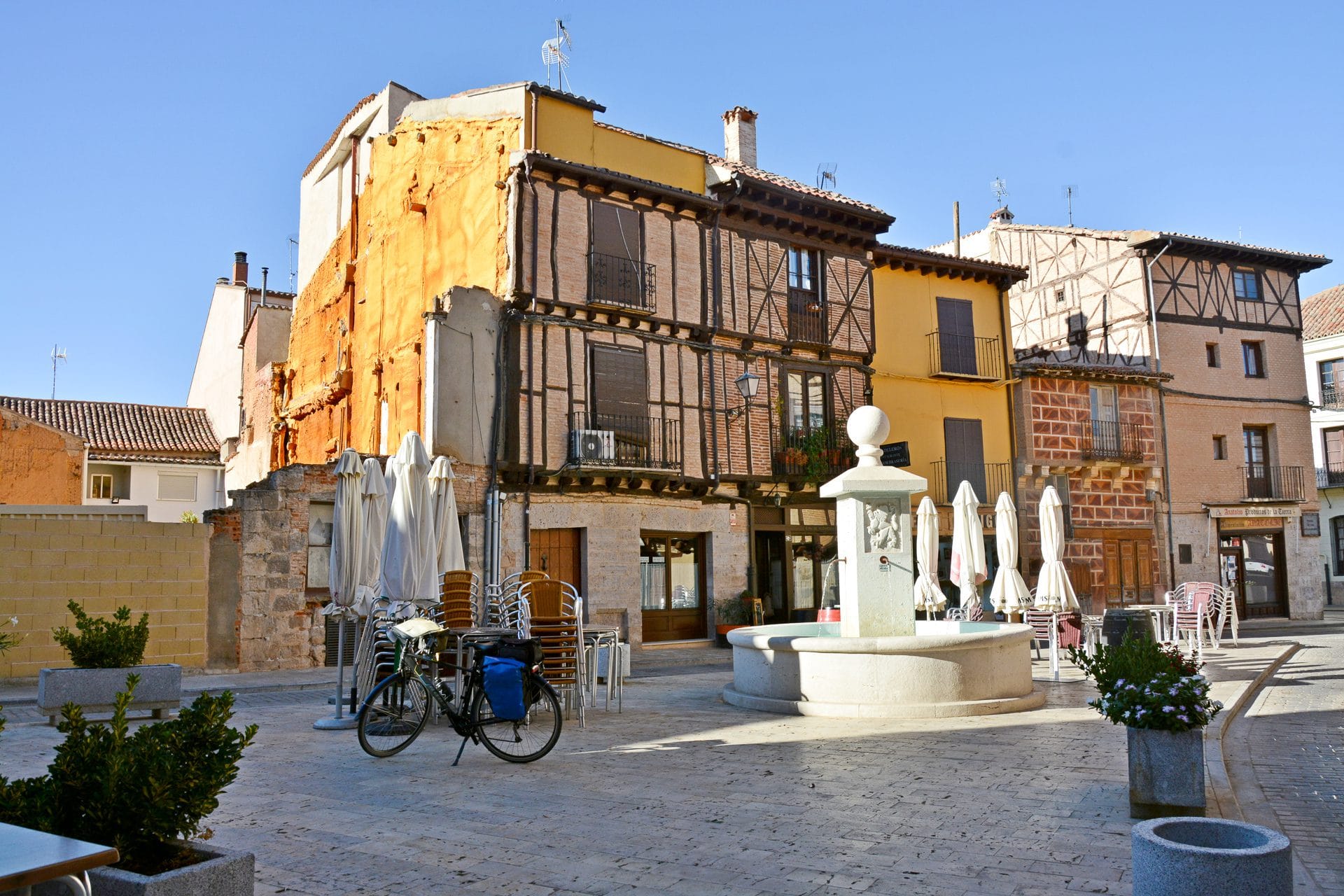Toro op de Camino de Levante