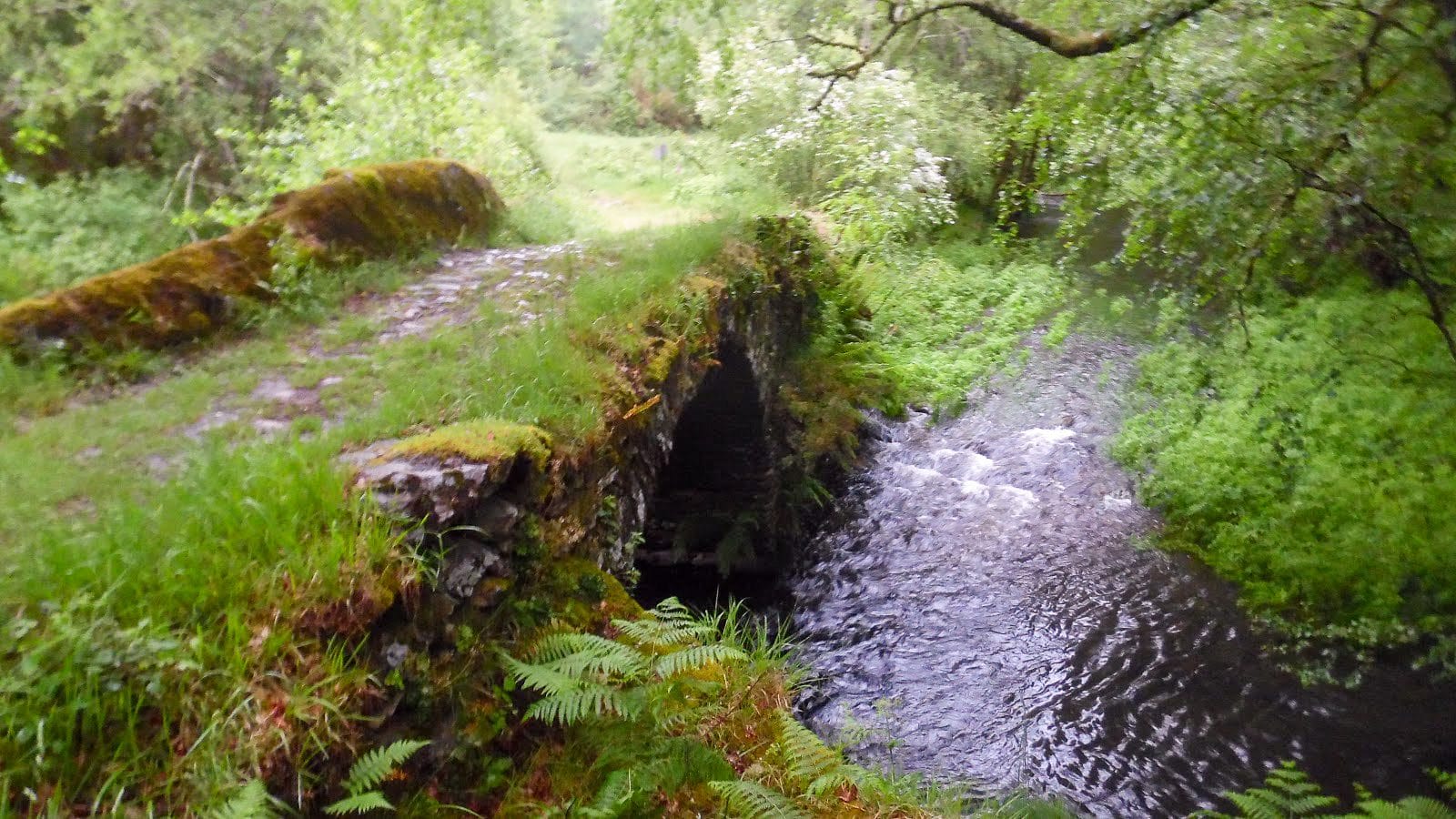 Forcarei - Ponte Gomail