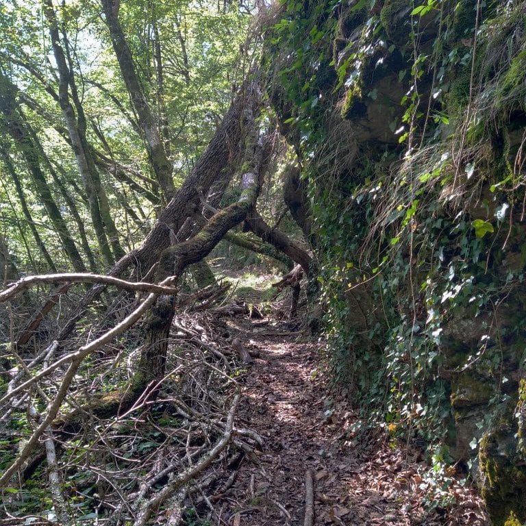 Via Arverna – Griet Van Ranst