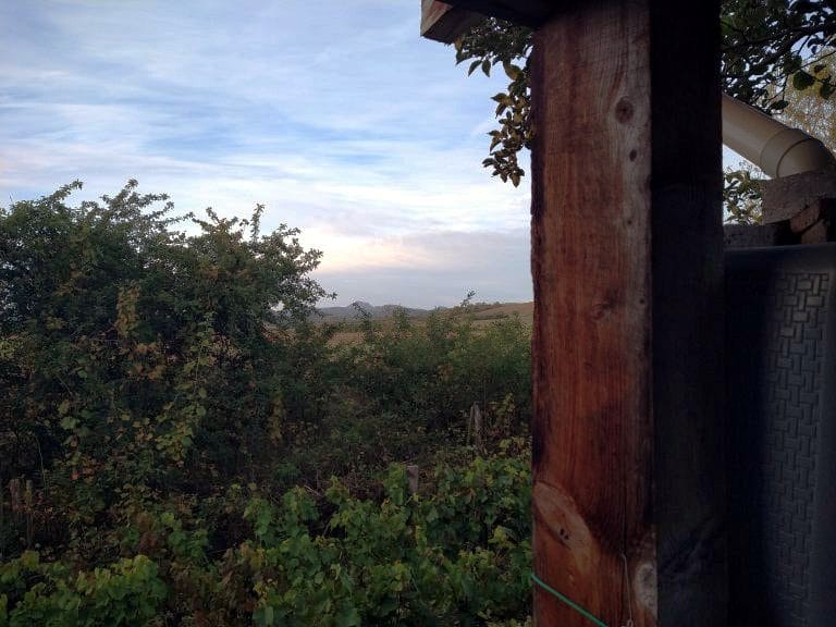 Via Lemovicensis - Griet Van Ranst