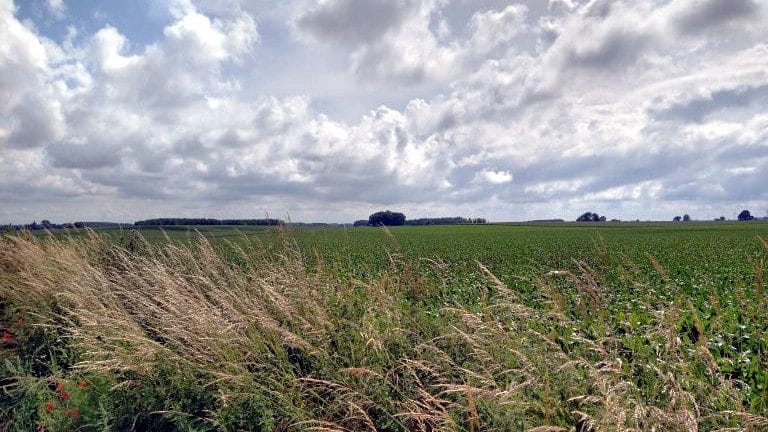 Via Monastica - Griet Van Ranst