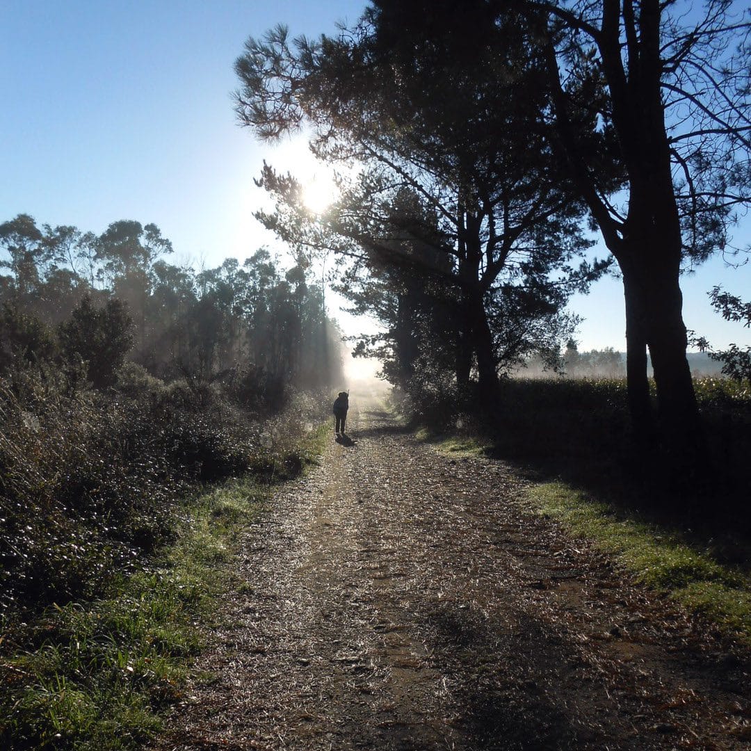 Op weg langs de Camino a Finisterre