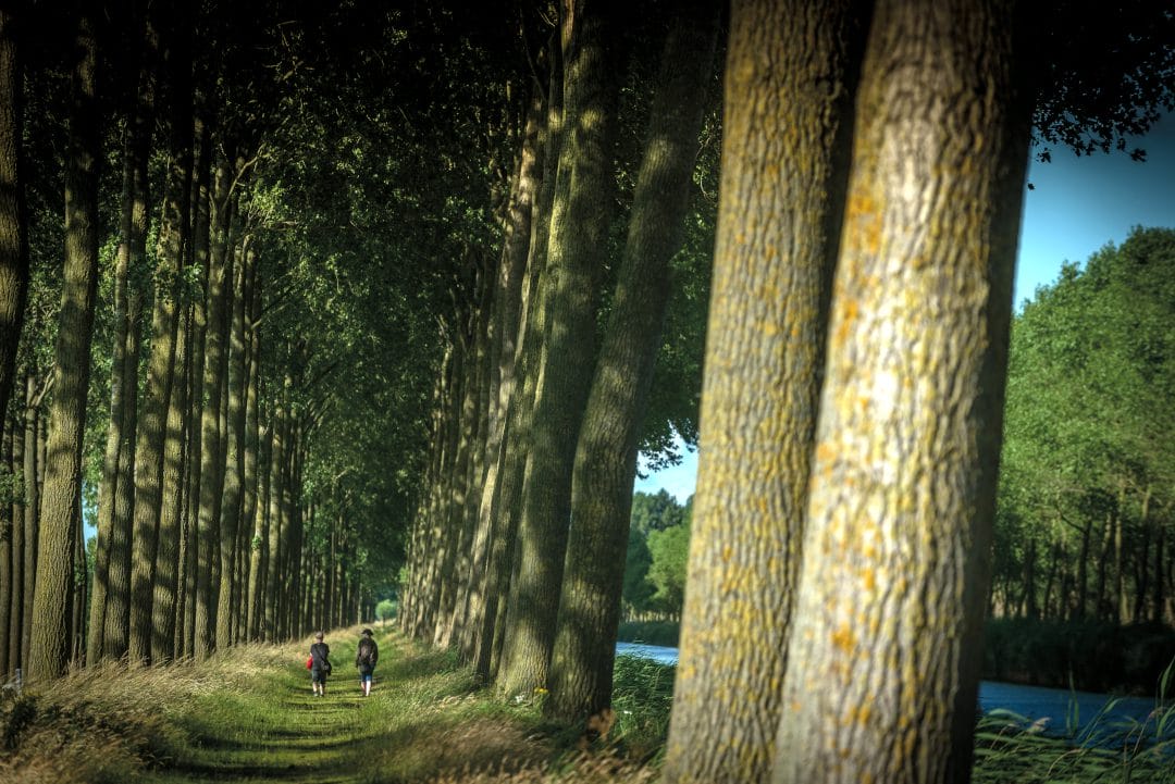 In alle rust wandelen langs de Damse Vaart