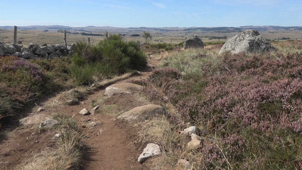 Wijdse omgeving van Aubrac
