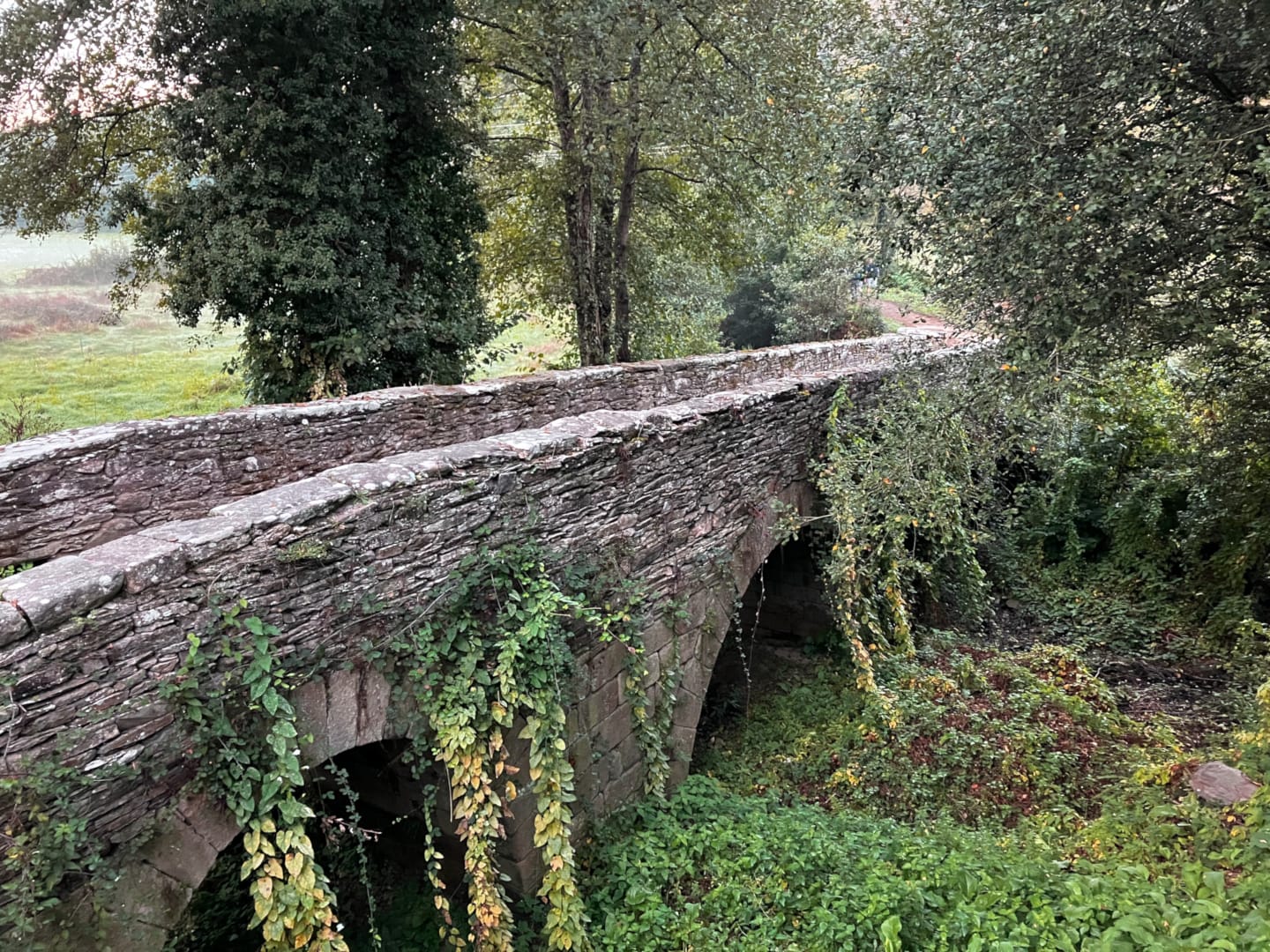 Dag 27 - Onderweg naar Sarria op 7 oktober 2023