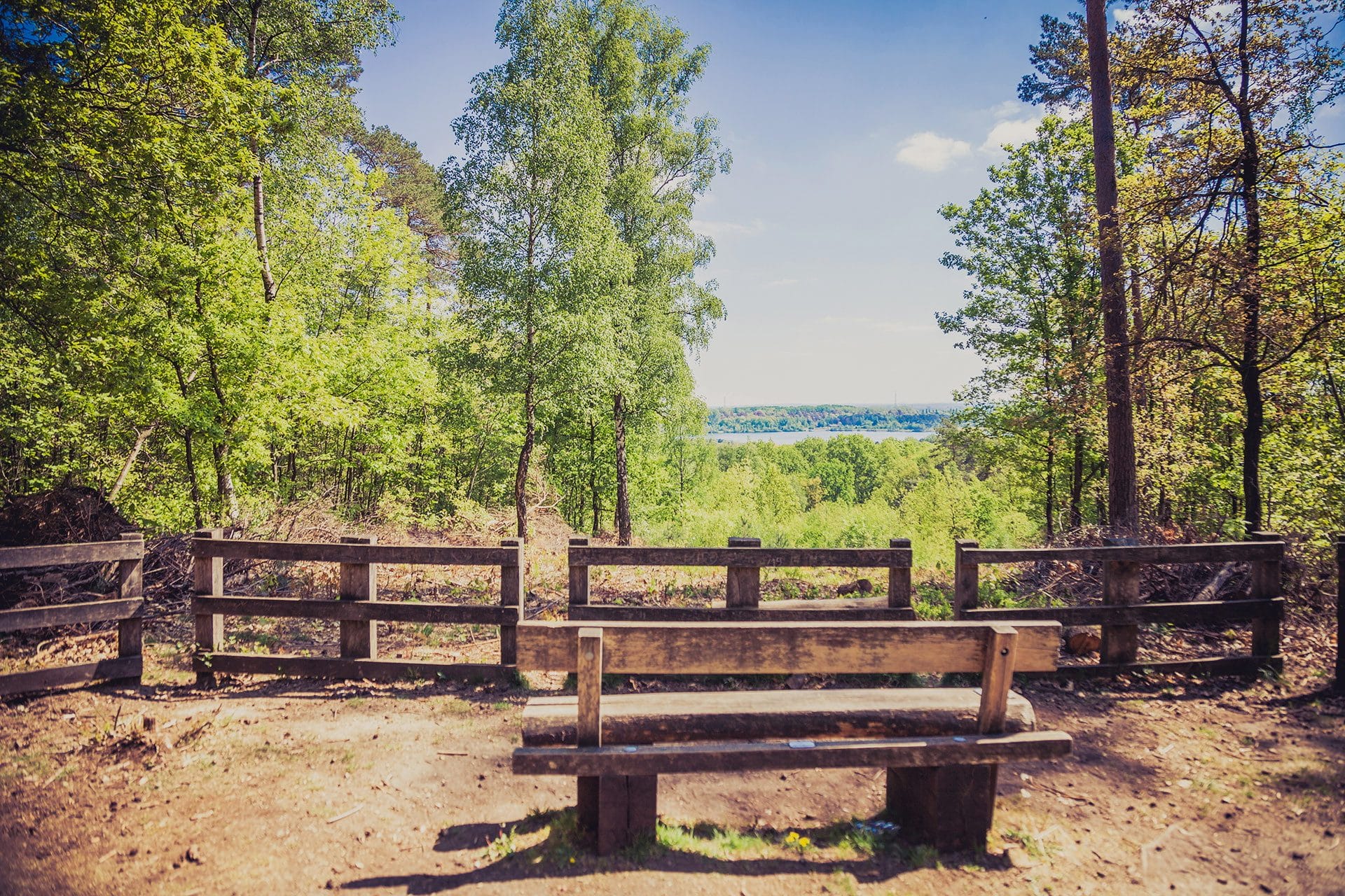 Bergerven, een voormalige grindwinning waar de grindgaten 'omgevormd' zijn tot plassen en waar de natuur opnieuw ruimte krijgt.