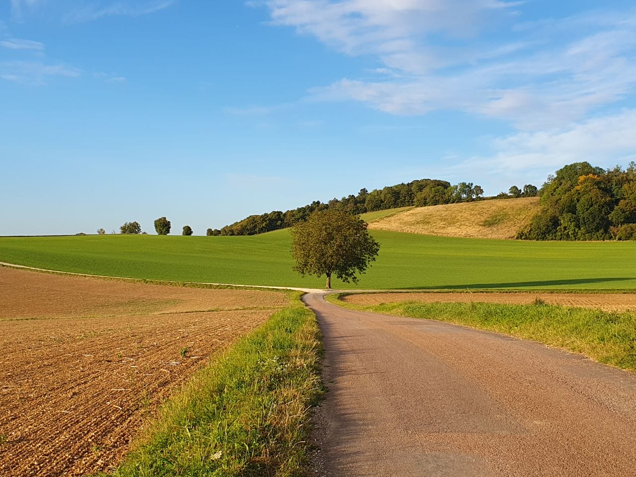 Robert Berns langs de Via Campaniensis