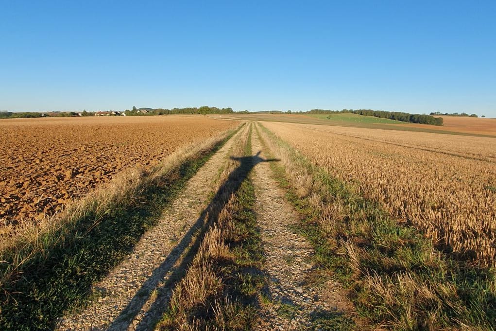 Robert Berns langs de Via Lemovicensis