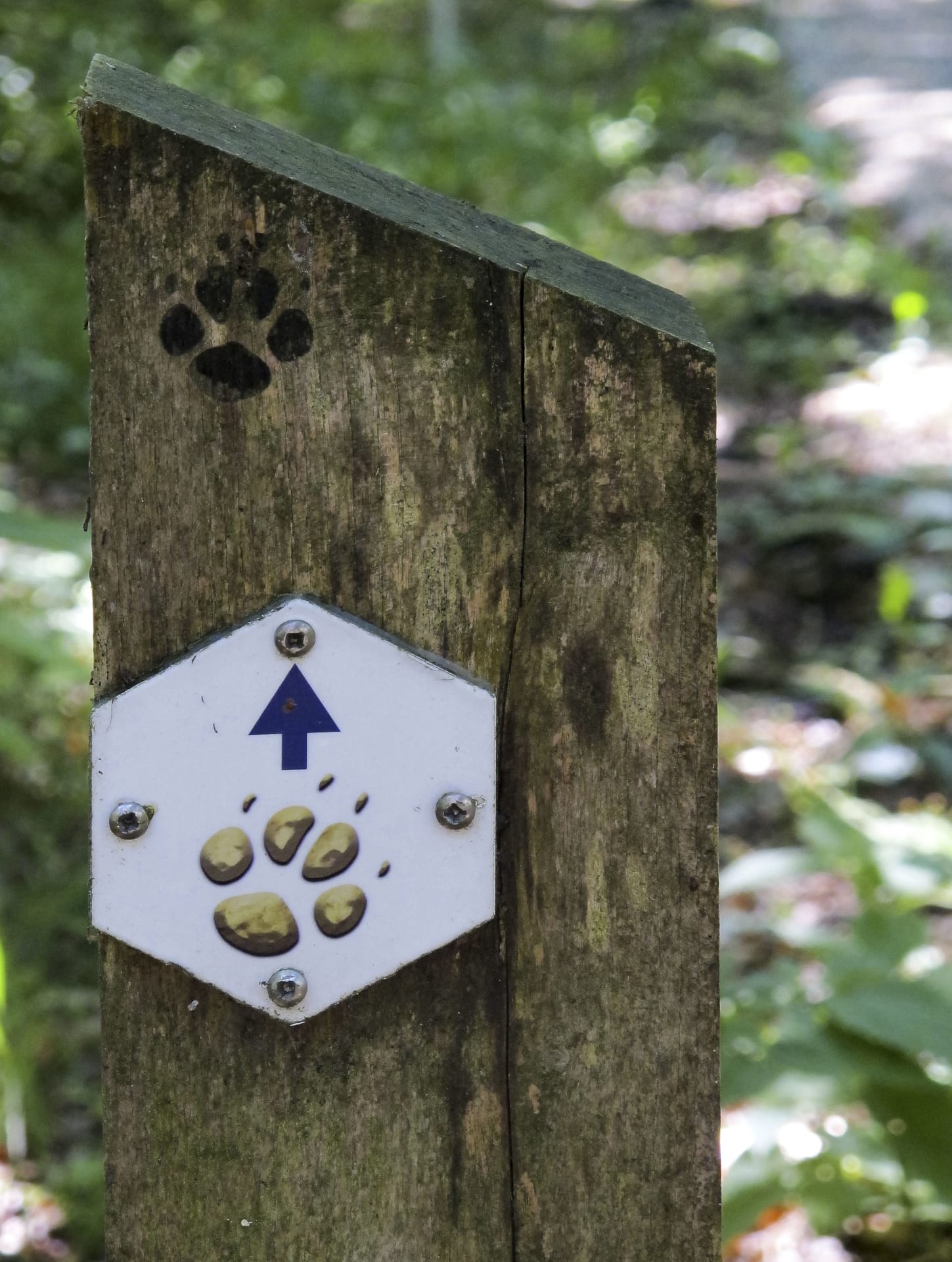 Bewegwijzering met het wolfspootje