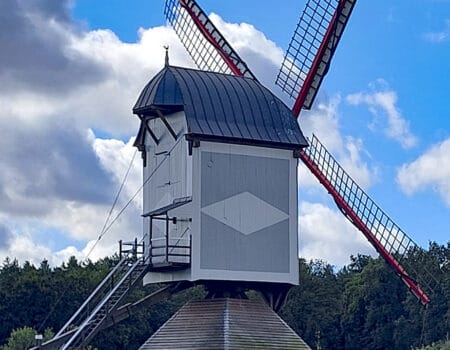 De houten Leyssensmolen, omringd door een groene haag en bekroond met een piramidevormig dak, is een must-see in Kattenbos.