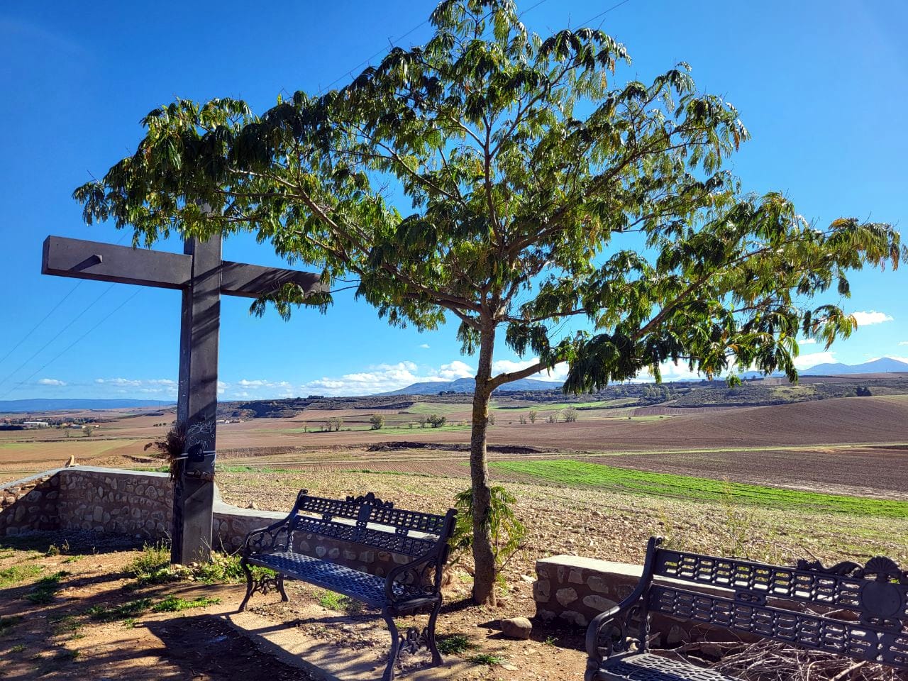 france-vankerckhove_frances