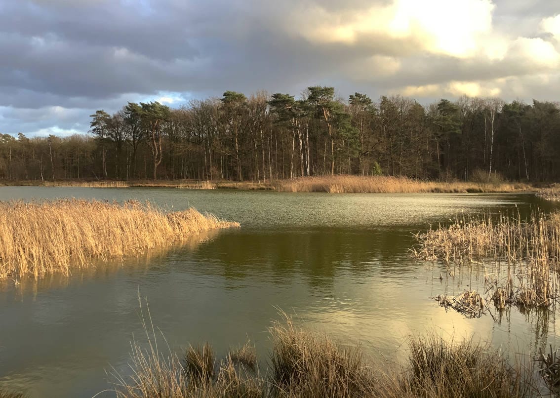 Het Landschapspark De Merode