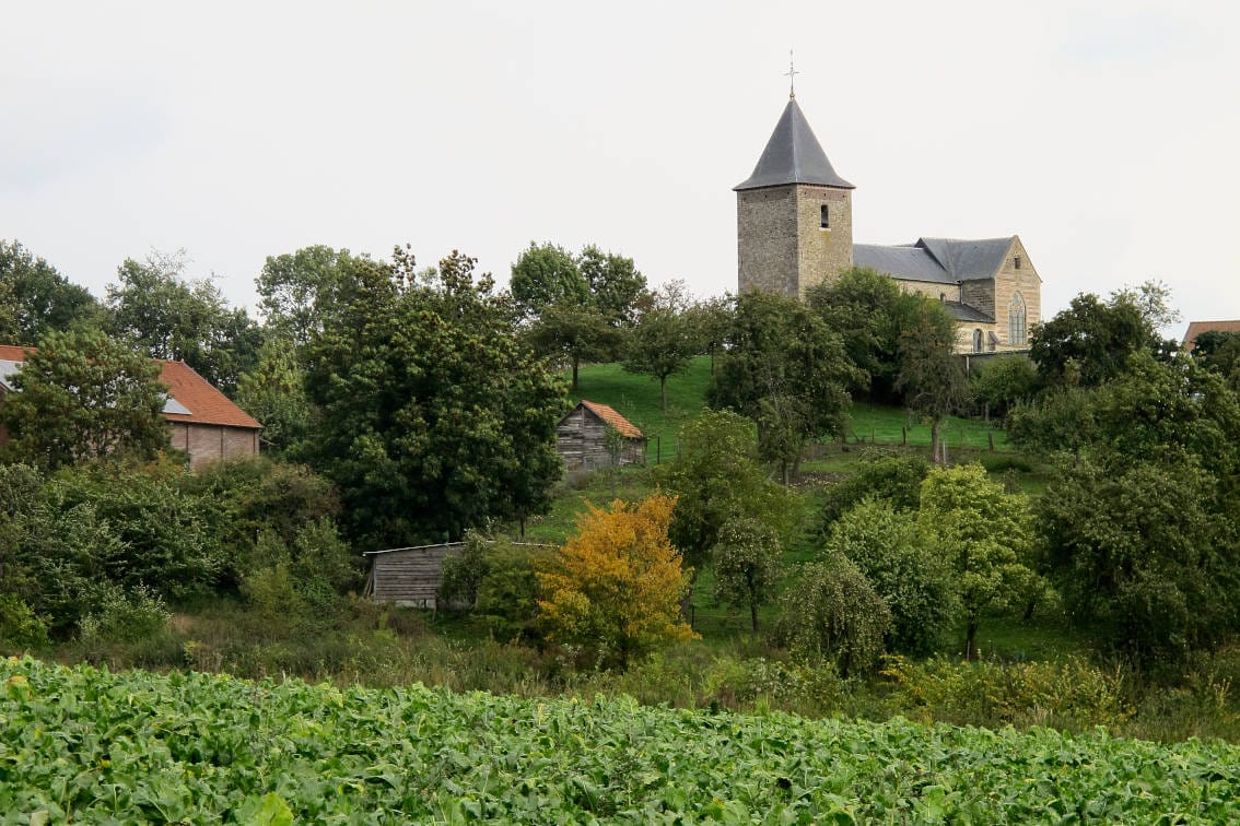 Limburgica Sint-Martinuskerk van Berg