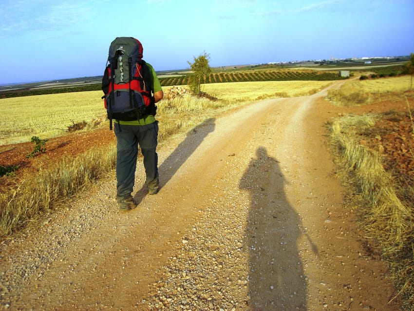 coda_RietVanCLeuvenbergen