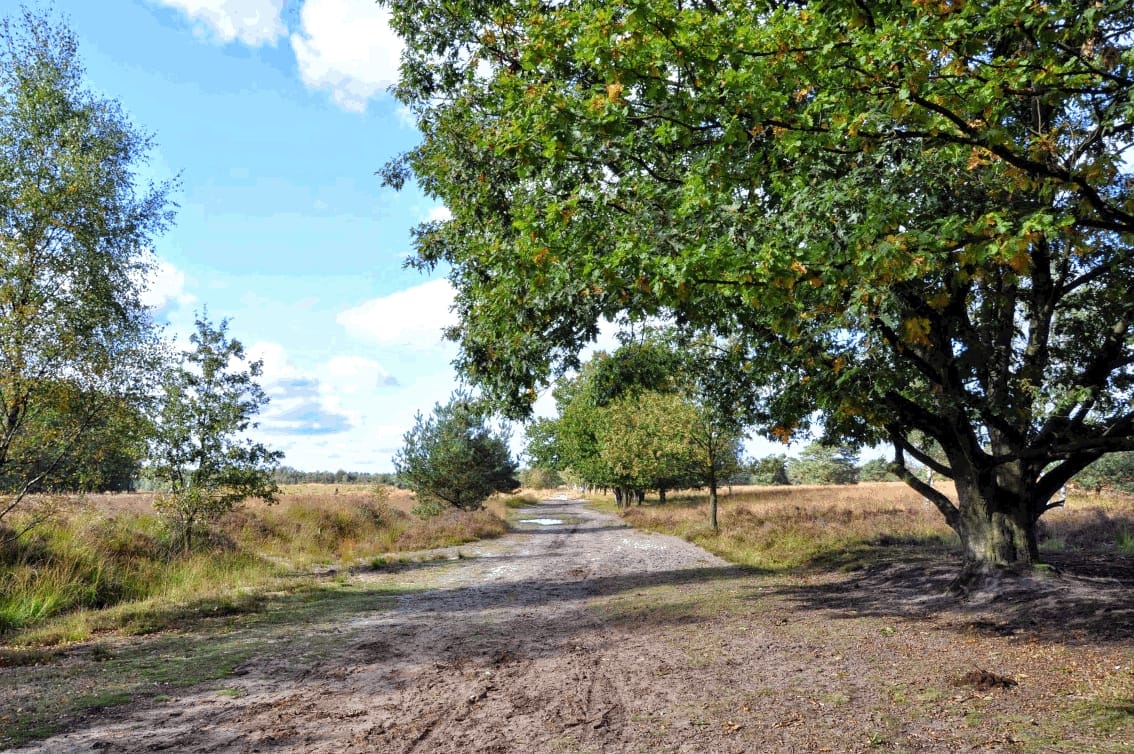 Maandag 25 mei (Pinkstermaandag) pelgrimstreffen ‘de ware Jakob’ te Postel